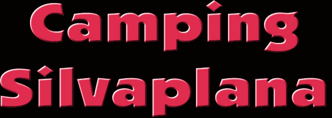 Camping

Silvaplana